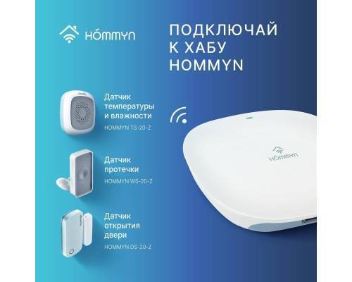 Блок управления (шлюз) Hommyn Hub HH-01