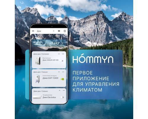 Блок управления (шлюз) Hommyn Hub HH-01