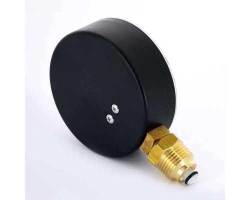 Термоманометр радиальный F+R828 WATTS Ind 4 бара 120°C 1/2"
