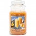Декоративная свеча Village Candle Персиковый коктейль (602 грамма)