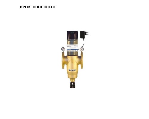 Фильтр BWT BWT Multipur AP DN65 (200μm)