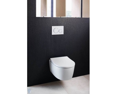 Сиденье для унитаза Geberit Smyle, SoftClose, быстросъемное, петли хром