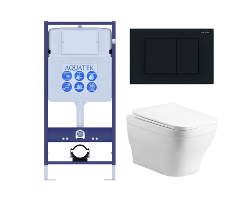 Set AQUATEK АМАДЕО cm (рама AQUATEK Standard INS-0000012 с звукоиз.прокладкой+крепеж KKI-0000002+кнопкаKDI-0000012+унитаз АМАДЕО AQ1180-00 с крышкой SET AQUATEK АМАДЕО cm-012 4в1