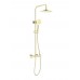 AQ2343BG ЕВРОПА термостатическая душевая система (смеситель для душа) 220мм, шлиф. золото AQ2343BG