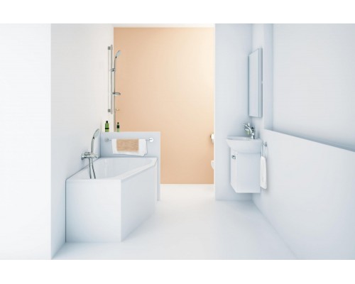 27221000 Euphoria Massage Ручной душ 110 III, хром 27221000