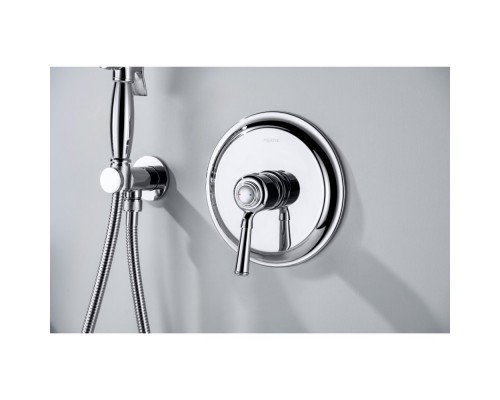 AQ1566CR КЛАССИК смеситель для душа 1 режим (внешняя и скрытая часть) AQ1566CR