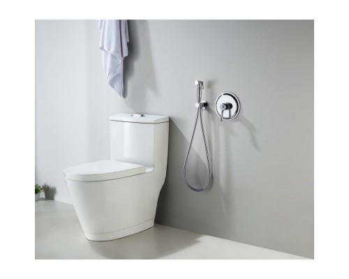 AQ1519CR КЛАССИК набор с гигиеническим душем (смеситель + гигиеническая лейка + шланг + шланговое подсоединение с держателем) AQ1519CR