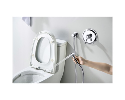 AQ1519CR КЛАССИК набор с гигиеническим душем (смеситель + гигиеническая лейка + шланг + шланговое подсоединение с держателем) AQ1519CR