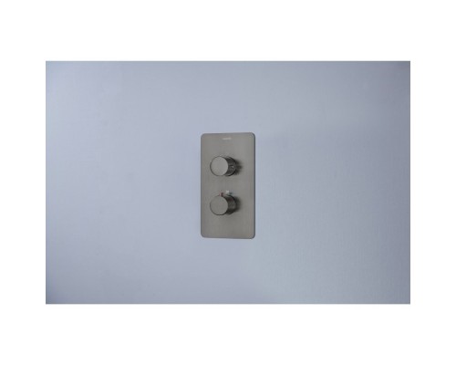 AQ1391BGM ЕВРОПА термостатический смеситель для душа 1 режим (внешняя и скрытая часть), оружейная сталь (шлиф. черный хром) AQ1391BGM