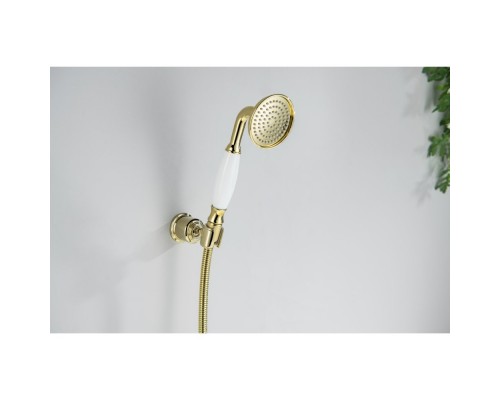 AQ2008PG КЛАССИК ручной душ 65 1jet, полир. золото AQ2008PG