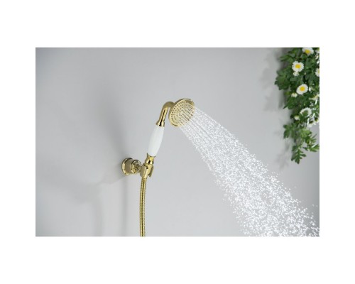 AQ2008PG КЛАССИК ручной душ 65 1jet, полир. золото AQ2008PG