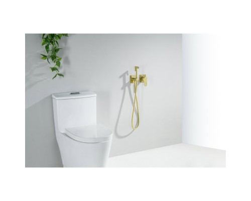 AQ1220BG ОБЕРОН комплект для гигиенического душа встроенный 2 отв. (смеситель + гигиеническая лейка + шланг), шлиф. золото AQ1220BG