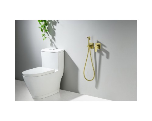 AQ1220BG ОБЕРОН комплект для гигиенического душа встроенный 2 отв. (смеситель + гигиеническая лейка + шланг), шлиф. золото AQ1220BG