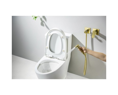 AQ1220BG ОБЕРОН комплект для гигиенического душа встроенный 2 отв. (смеситель + гигиеническая лейка + шланг), шлиф. золото AQ1220BG