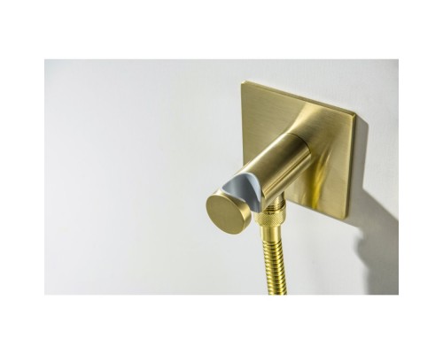 AQ1220BG ОБЕРОН комплект для гигиенического душа встроенный 2 отв. (смеситель + гигиеническая лейка + шланг), шлиф. золото AQ1220BG