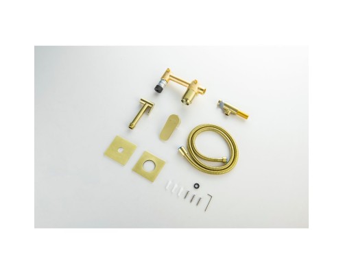 AQ1220BG ОБЕРОН комплект для гигиенического душа встроенный 2 отв. (смеситель + гигиеническая лейка + шланг), шлиф. золото AQ1220BG