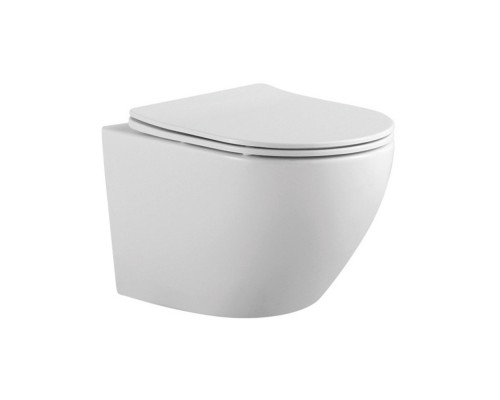 SET AQUATEK ЕВРОПА-015 4в1 (рама AQUATEK Standard INS-0000012 с клавишей KDI-0000015 и крепежом KKI-0000002+унитаз AQ1901-00 с тонким сиденьем sc) SET AQUATEK ЕВРОПА-015 4в1