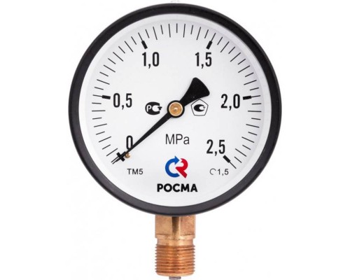 Манометр Росма ТМ-310 P.00 63/10 (1/4", 0-10 бар, 2,5) радиальный