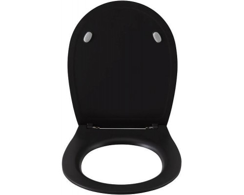 Allen Brau Fantasy Крышка-сиденье для унитаза Smartfix, Soft-Close, цвет: антрацит 4.11005.AN