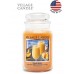Декоративная свеча Village Candle Персиковый коктейль (602 грамма)