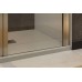 Allen Brau Priority Душевая дверь 160x200h см, цвет проф: серебро, стекло прозрачное 8 мм 3.31038.BA