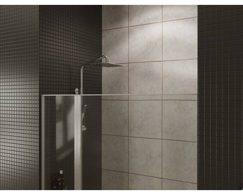 Allen Brau Priority Душевая дверь 160x200h см, цвет проф: серебро, стекло прозрачное 8 мм 3.31038.BA