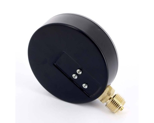 Манометр радиальный F+R250 WATTS Ind 1/2" 100 мм 6 бар Манометр радиальный F+R250 WATTS Ind 1/2" 100 мм 6 бар
