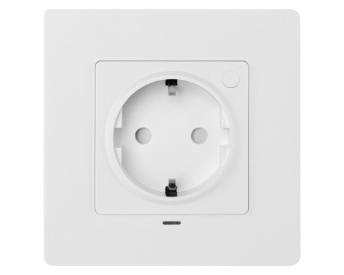 Розетка умная встраиваемая HOMMYN zigbee RKNWOZ01W