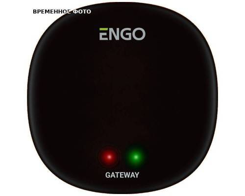 Универсальный интернет шлюз Zigbee для ENGO Smart