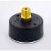 Манометр аксиальный F+R100 WATTS Ind 1/4" 50 мм 10 бар