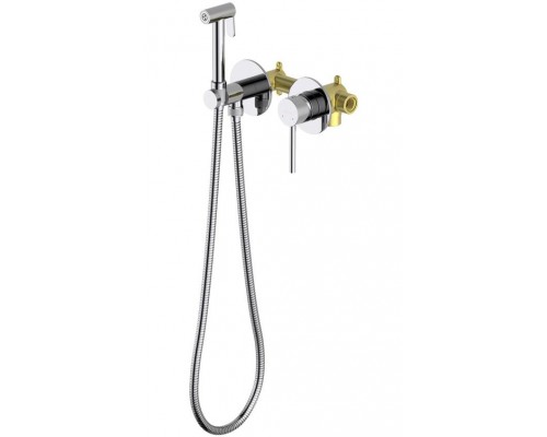 AQ1319CR ЕВРОПА комплект для гигиенического душа встроенный 2 отв. (смеситель + гигиеническая лейка + шланг) AQ1319CR
