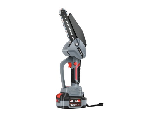 Пила цепная ProfiPower MKGST-18V