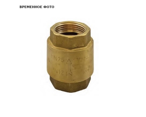 Клапан обратный 4" пружинный с пластиковым затвором