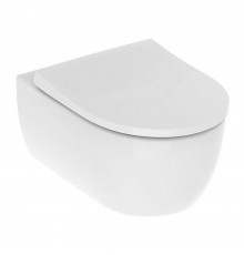 501.664.00.1 iCon Комплект из подвесного безободкового унитаза Rimfree c тонким сиденьем и быстросъемной крышкой с микролифтом (замена 500.784.01.1) 501.664.00.1