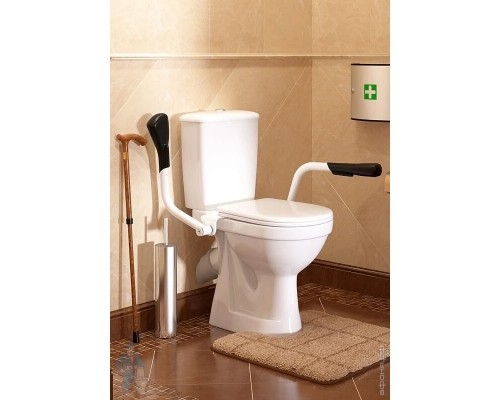 42301120005 Унитаз-компактПерсонаПремиум (с двойным опорным поручнем) подвод воды нижний, косой выпуск 42301120005