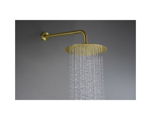 AQ1376BG ЕВРОПА Set 3 в 1 душевой комплект 2 режима, шлиф. золото AQ1376BG