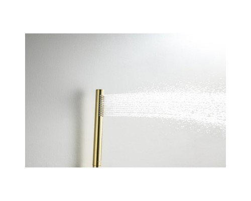 AQ1376BG ЕВРОПА Set 3 в 1 душевой комплект 2 режима, шлиф. золото AQ1376BG
