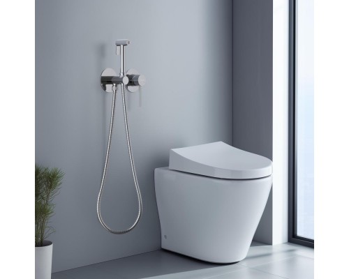 AQ1319CR ЕВРОПА комплект для гигиенического душа встроенный 2 отв. (смеситель + гигиеническая лейка + шланг) AQ1319CR