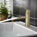 AQ1518PG КЛАССИК смеситель для биде, полир. золото AQ1518PG