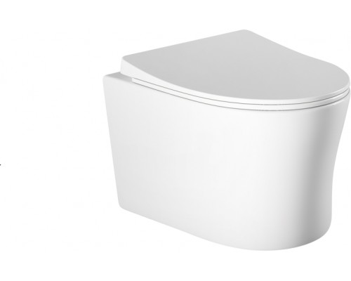 AQ2009-00 НИКА Унитаз компакт подвесной безободковый 525365360мм, тонкое сиденье с механизмом плавного закрывания, крепеж AQ2009-00