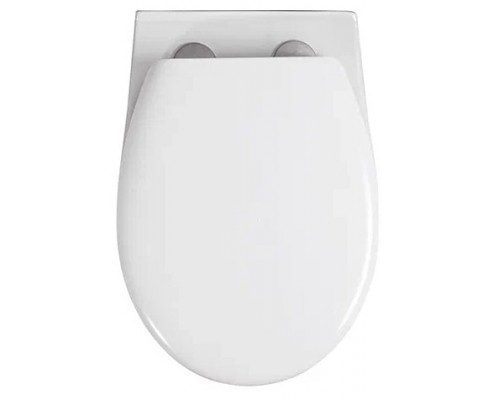 AQ0170-00 крышка-сиденье для AQ1170-00 КАИР AQ0170-00