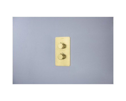 AQ1376BG ЕВРОПА Set 3 в 1 душевой комплект 2 режима, шлиф. золото AQ1376BG