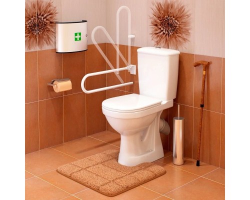 42301120012 Унитаз-компактПерсонаСтандарт (с откидным окрашенным поручнем) подвод воды нижний, косой выпуск 42301120012