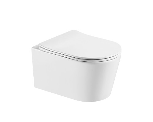 SET AQUATEK ОБЕРОН T PNS013 (рама AQUATEK INSP-0000001 с клавишей PNS-0000013 и крепежом KKI-0000002+унитаз ОБЕРОН AQ1365T-00, тонкое сиденье sc) SET AQUATEK ОБЕРОН T PNS013