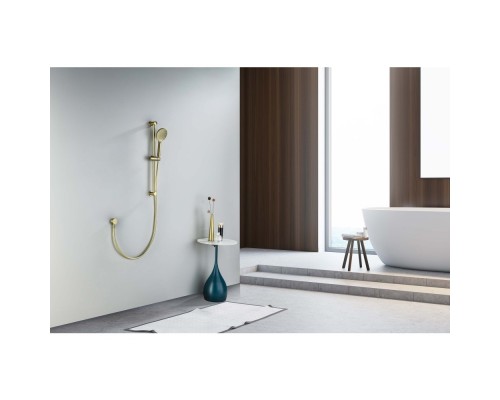 AQ2016BG ОБЕРОН душевой гарнитур 3jet 65 см, шлиф. золото AQ2016BG