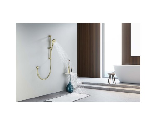 AQ2016BG ОБЕРОН душевой гарнитур 3jet 65 см, шлиф. золото AQ2016BG