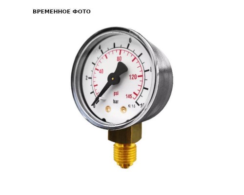 Манометр радиальный 1/4" 0-10 бар для Protector mini