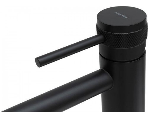 Allen Brau Priority Смеситель для раковины, цвет: черный 5.31A02-31