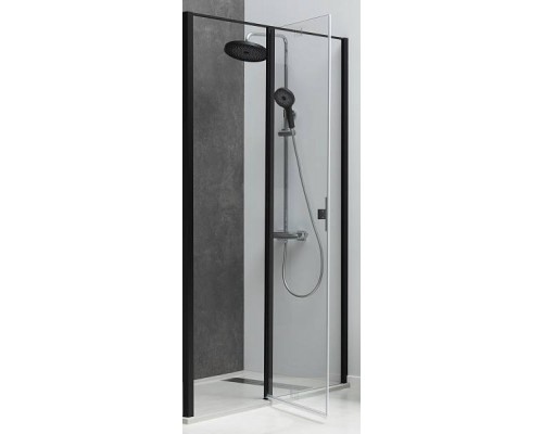 Allen Brau Priority Душевая дверь 120 см, цвет: черный матовый браш 3.31009.BBA