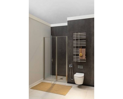 Allen Brau Priority Душевая дверь 90 см, цвет: серебро браш 3.31002.BA